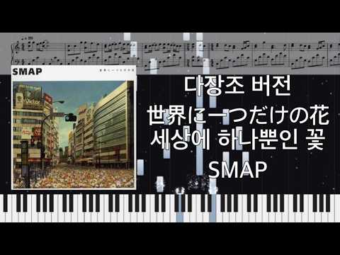 세상에 하나뿐인 꽃 (다장조 버전) - SMAP