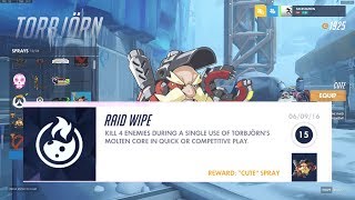 Raid Wipe Trophy Video Guide