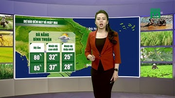 Thời tiết nông vụ 15/08/2019: Đề phòng mưa rất to tại khu vực miền núi phía Bắc | VTC14