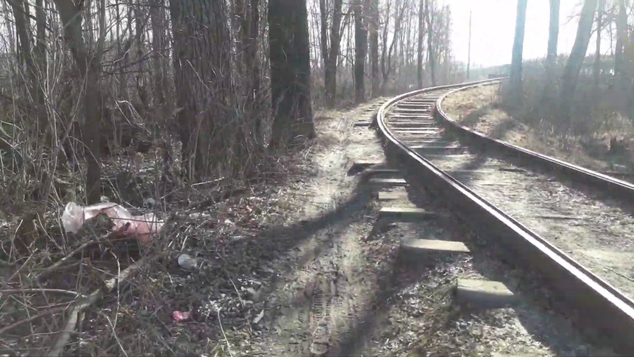 заветное дупло сережа знал на пересчет синтаксический разбор. юрий яковлев книги о войне. рийяковлевкаксережанавойнуходли. текст серёжа шёл по заброшенной дороге. как сережа на войну ходил юрий яковлев рассказ.