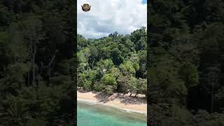 NVJ Season 1 Pt10 #campervan #nomad #healing #youtubeshorts #foryou #peaceful #life #normallife