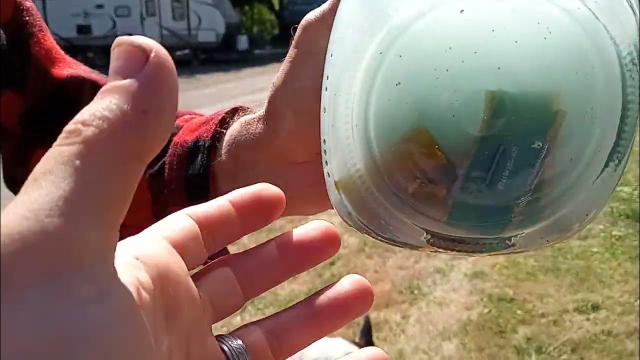 How To Extract Gold From Electronics With Vinegar useing vinegar and salt to extract gold from electronics #gold #removal