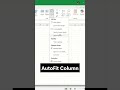 Make Excel Instantly Neat: AutoFit Column Hack!