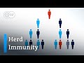 Why aiming for herd immunity to deal with the coronavirus is still a bad idea | DW News