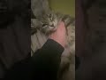 She is so sweet.