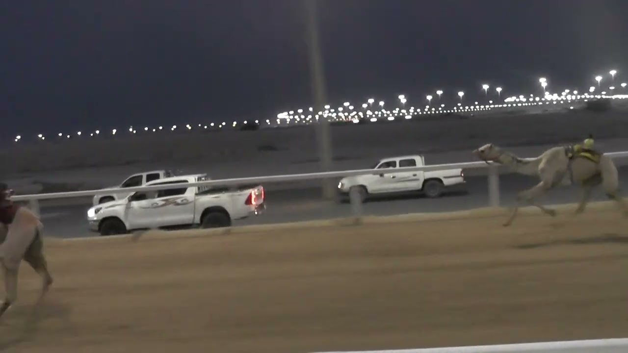 ش1/ حقايق / بكار+ قعدان / شاهين / محمد حميد الرشيدي / 04:42:09