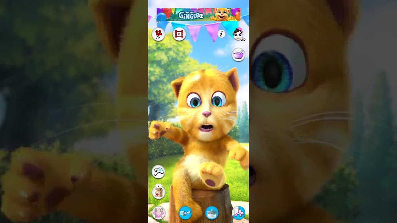 Talking Ginger 5 Shorts