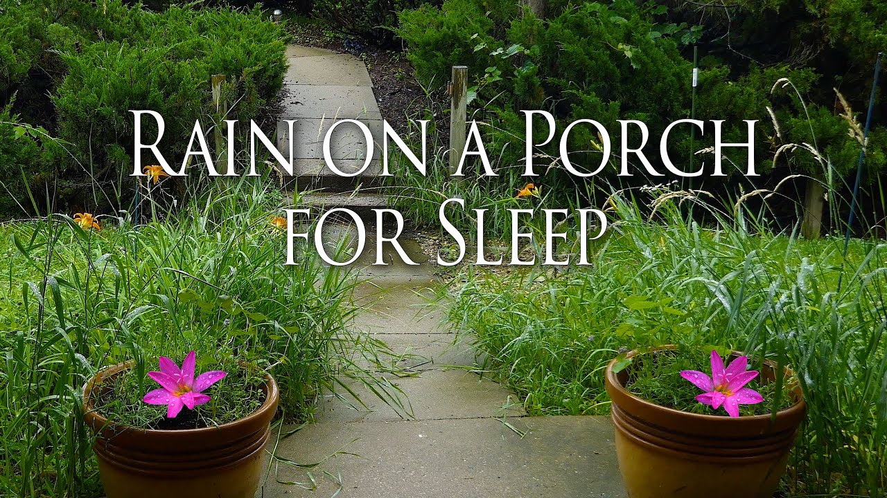Gentle Raindrops on plants, flowers and birds 4K for Sleep