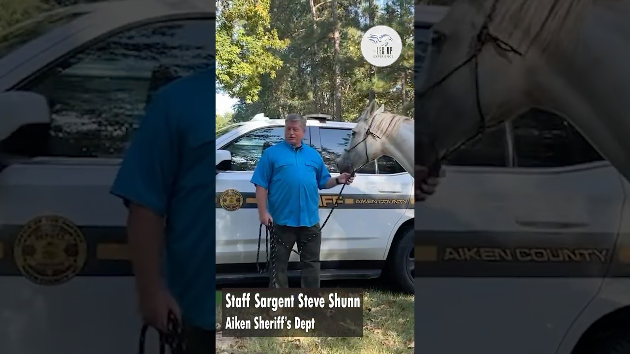SC Sheriff's Office tries a Leg Up Experience #equinetherapy #healingwithhorses #donate