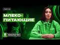 От кита до летучей мыши: как устроены млекопитающие? | Биология 8 класс | Аверсэв
