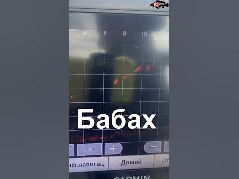 СТАЯ СУДАКА , Паноптикс , Слаг #shorts #panoptix #рыбалка - YouTube