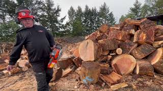Husqvarna 564 first run after walkerizing it