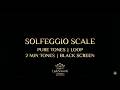 All 9 Solfeggio Frequencies - Scale Loop - 2 Min. Each - Pure Tones - Black Screen