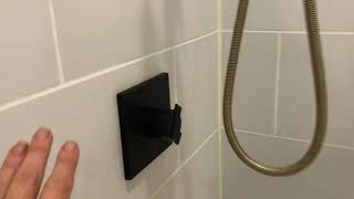 Delta Faucet Ara 17 Series Dual Function Shower Valve Trim Kit Black Review