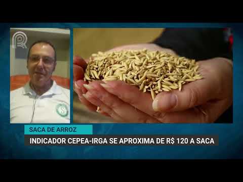Saca de arroz: indicador Cepea-Irga se aproxima de R$ 120 a saca | Canal Rural