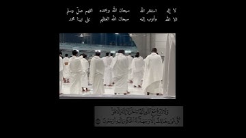 تلاوه من أجمل تلاوات الشيخ بندر بليلة🤍