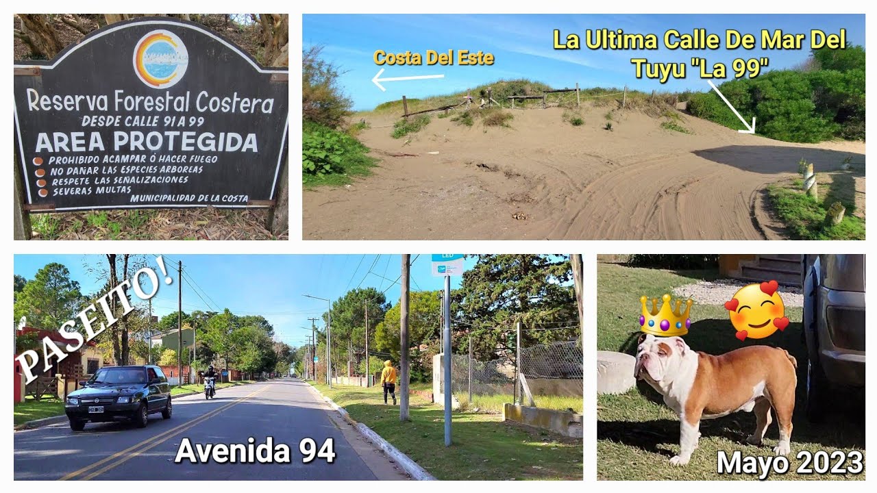 *Mar Del Tuyu* Ave. 94 y Sus Ultimas Calles + Reserva Forestal  - Argentina.