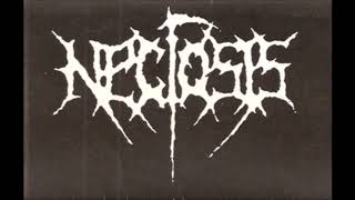 Download Lagu Necrosis - Realms Of Pathogenia (1992) MP3