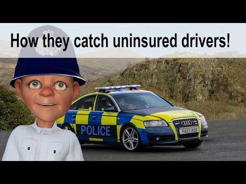 Video: Hoeveel onverzekerde chauffeurs in het VK?