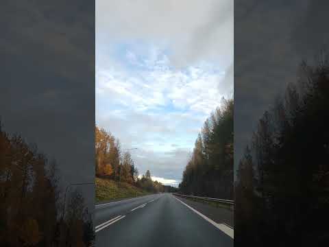 Road trip in