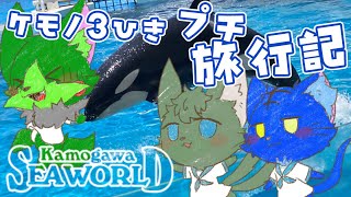 【Vtuber】ぬめゲコらいふ 真夏のプチ旅行記 with 御樹景柊 〔鴨川シーワールド〕
