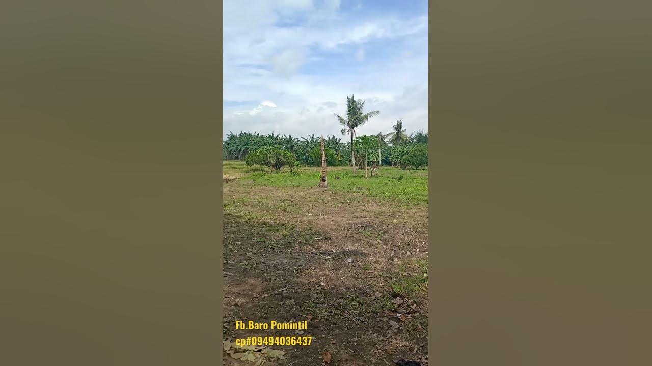 1-3-hectare-tax-dec-450-pesos-per-sq-mtr-pede-mag-cut-along-brgy