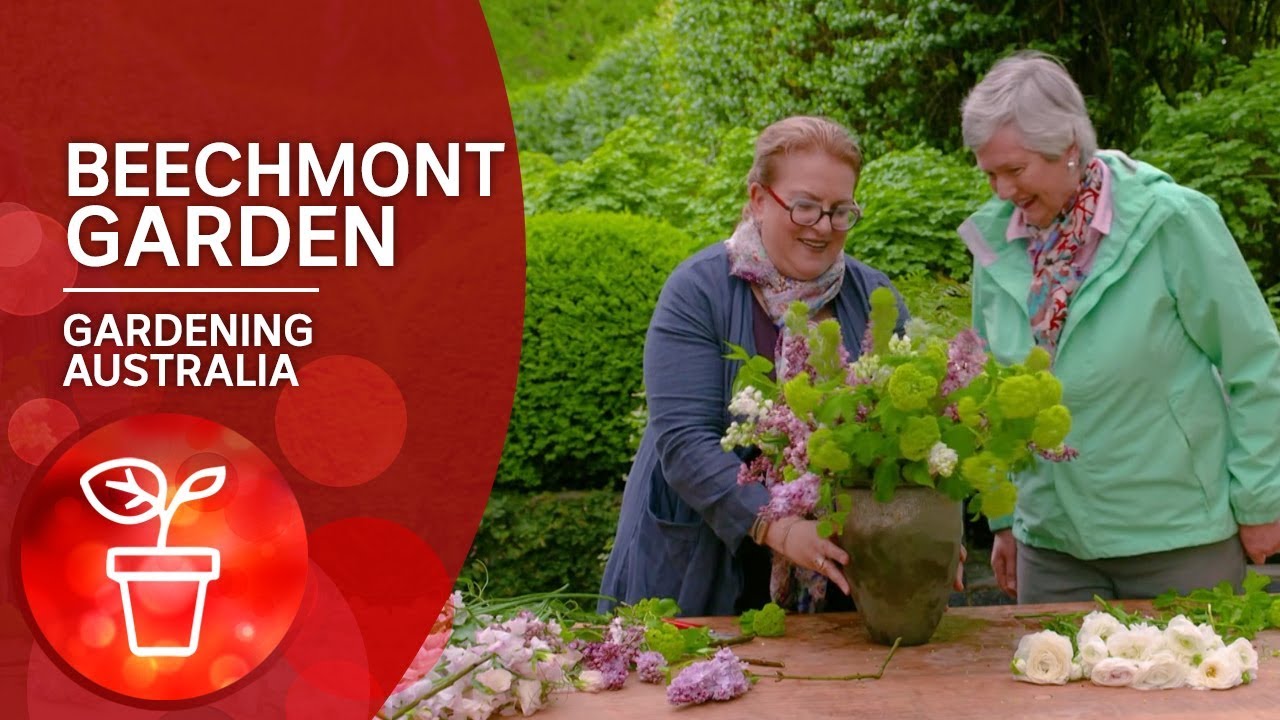 A florist's garden — Beechmont