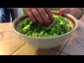 How To Peel And Cook Fresh Nopales/cactus