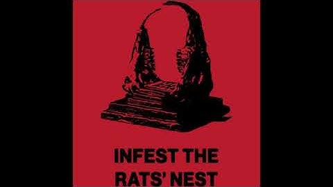 King Gizzard and The Lizard Wizard  - Superbug