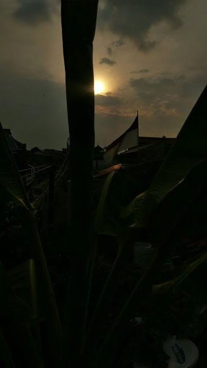 STORY WA YA THOYBAH YA ALI YA ABI THALIB ( SENJA)