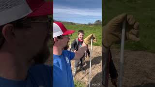 The Best Fibergl Electric Fence Rods-