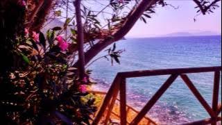 Paul Mauriat - Amigo