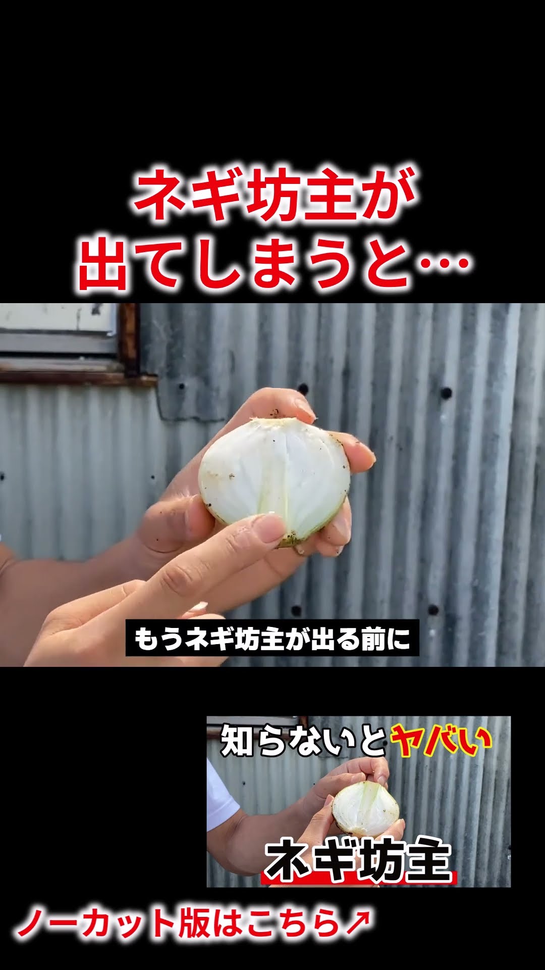 Onion] Why do onion heads taste bad? - YouTube