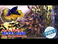 Part 2 - How To: Betta Fish Breeding | More Than 300 Betta Fry (Mustard Gas Rose Tail Halfmoon)