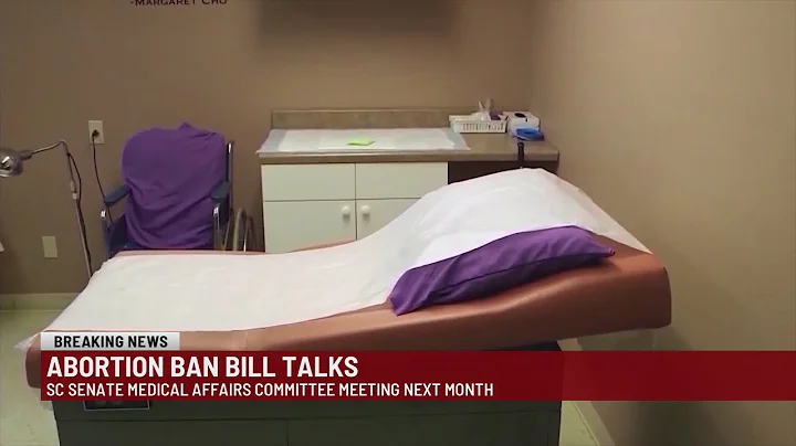 SC Lawmakers to Debate Abortion Ban With No Exceptions | Doctors Face Up to 30 Years in Prison