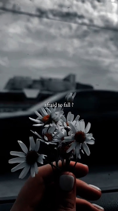 A Thousand Years – Christina Perri | Slowed   Reverb | Lyrics | Aesthetic |Lyrics |WhatsApp status