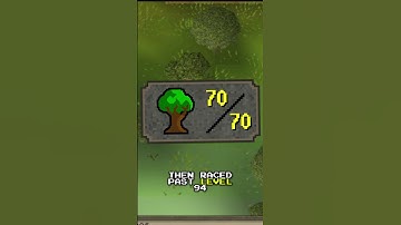 Fastest Woodcutting Levels Ever? Botting to 99! #shorts