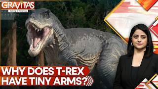 Mystery Of T-Rex's Tiny Arms Decoded: Here's What Study Says | GRAVITAS
