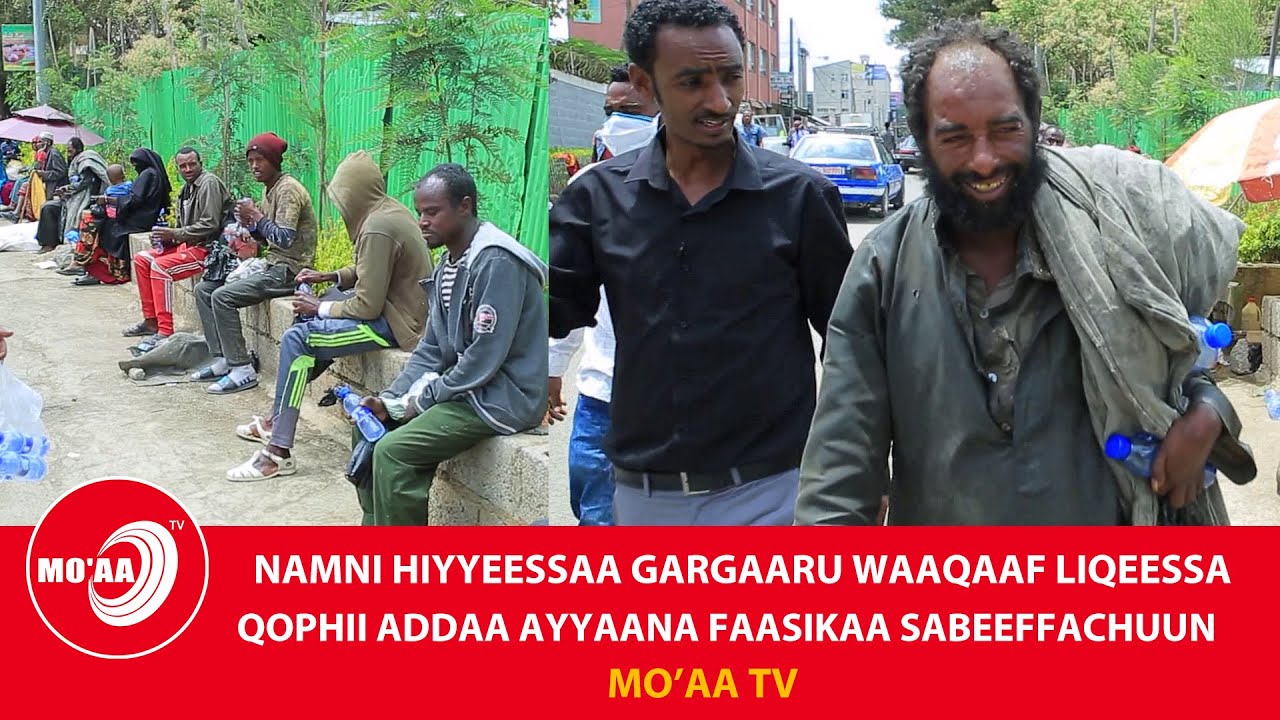 HIYYEESSA GARGAARUUN WAAQAYYOOF LIQEESSUUDHA/QOPHII ADDAA