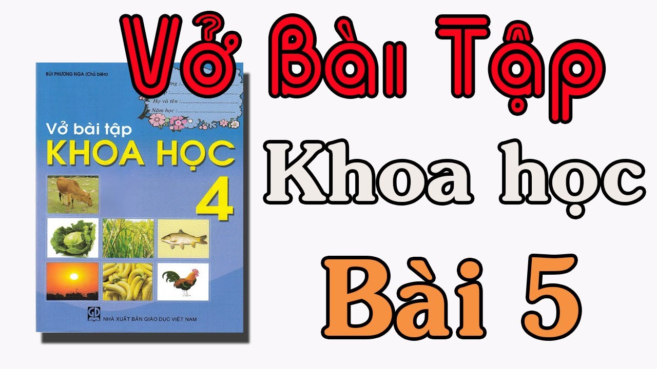 VỞ BÀI TẬP KHOA HỌC LỚP 4 BÀI 5 VAI TRÒ CỦA CHẤT ĐẠM... - youtube