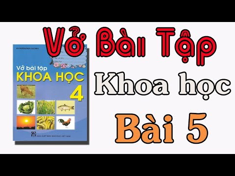 Video VỞ BÀI TẬP KHOA HỌC LỚP 4 BÀI 5 VAI TRÒ CỦA CHẤT ĐẠM... - YouTube