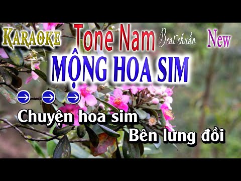 Mộng Hoa Sim