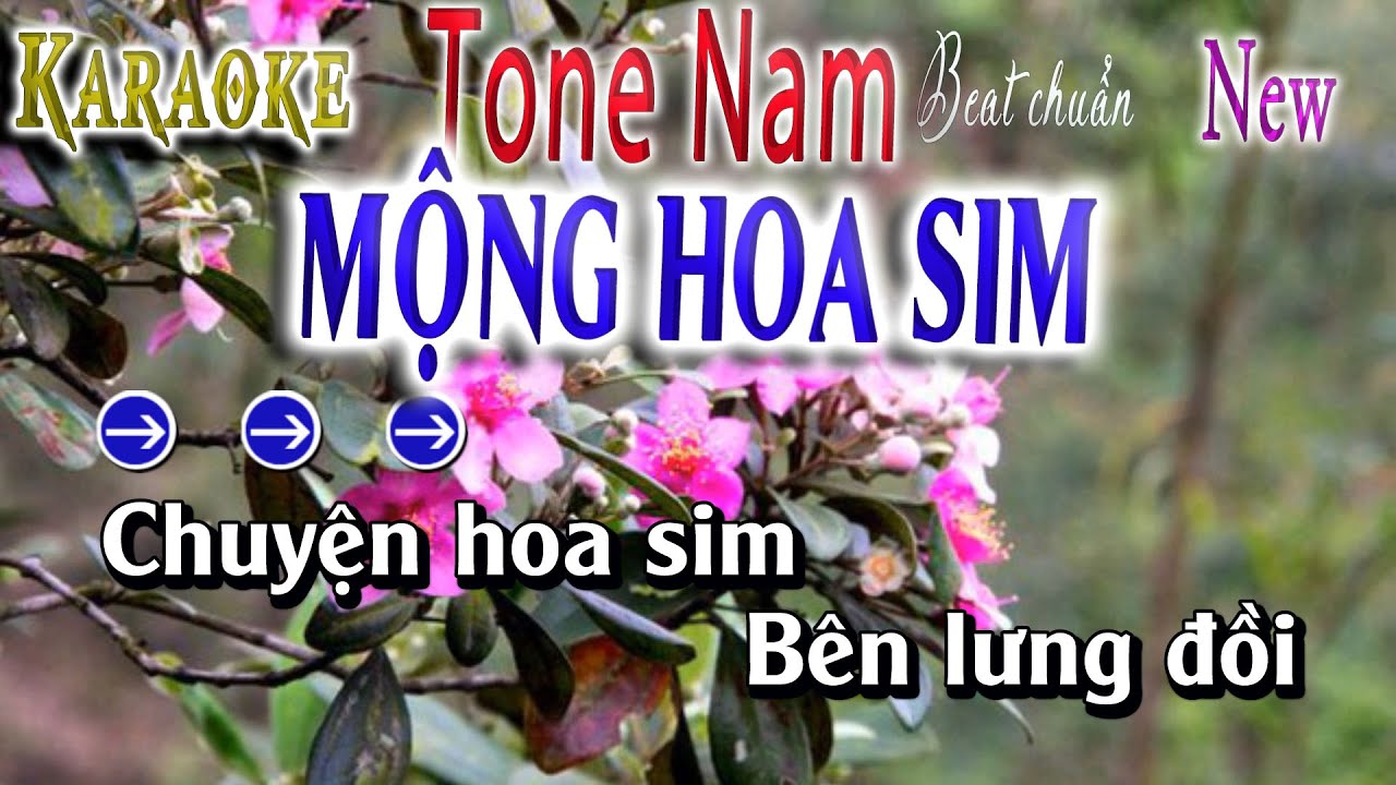 Mộng Hoa Sim Karaoke Tông Nam Beat chuẩn