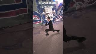 Iron Wand training - a well structured fitness method from history
The 30 basic exercises are combined with 4 different footwork patterns to create 120 exercises which all are the same but a little bit different to force your body not the same way to improve your movement and strength you do not think of.
#exercise #workout #mobility #functionaltraining #fitness Iron Wand training - a well structured fitness method from history