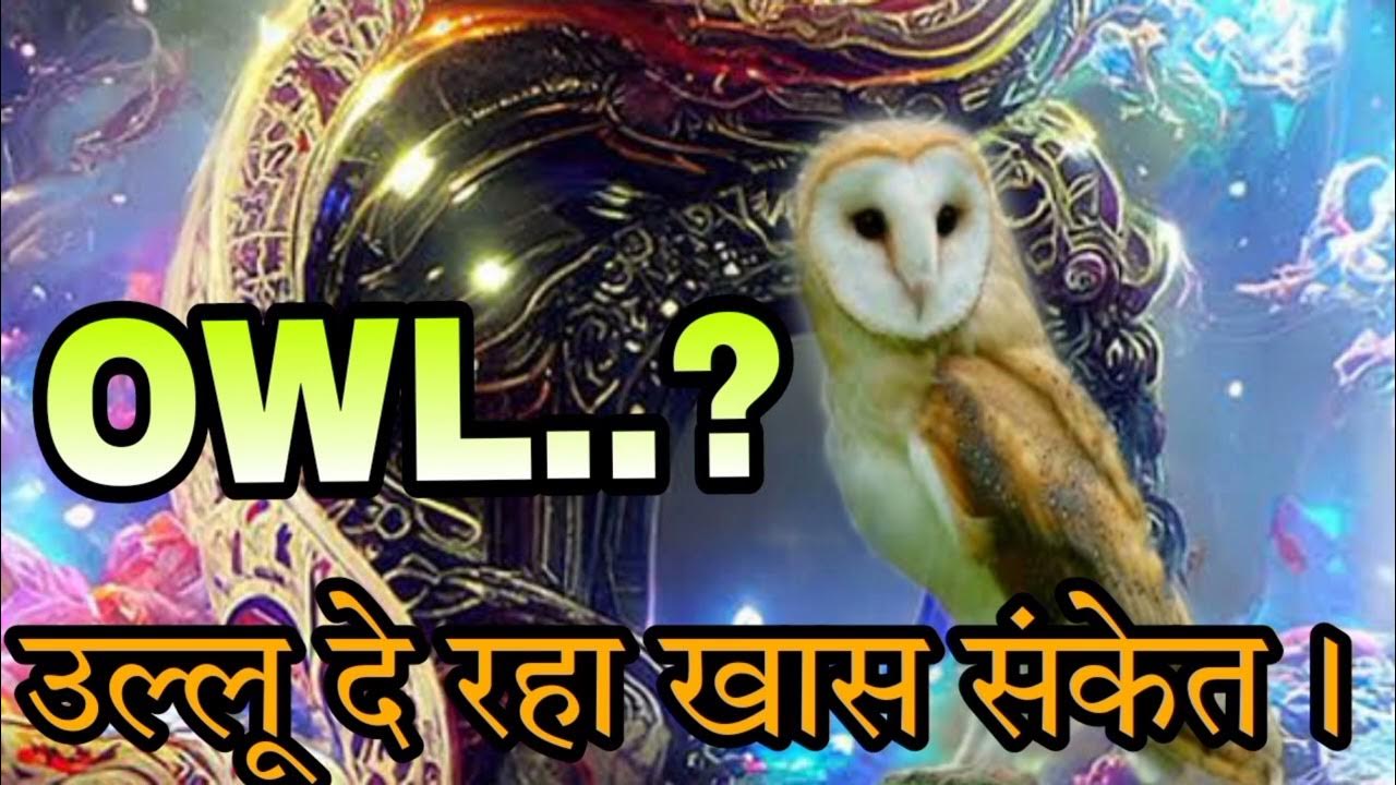Seeing Owl Spiritual Meaning In spiritual-meaning-in-hindi-spiritual-explained