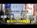 【東京散歩】綺麗な景色を探すテスト配信【東京駅周辺スタート】| Walking Tokyo