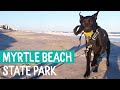 OUR 1ST FULL TIME RV DESTINATION -  MYRTLE BEACH STATE PARK - LIVE YOUR SOMEDAY NOW