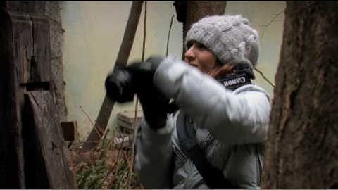 The Assignment Landscape Photo Story