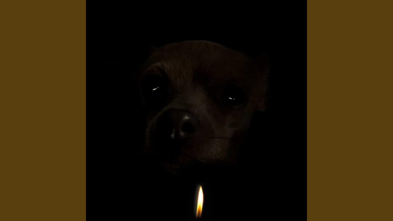 i stay up looking at the nudes you sent me in 2022.. I MISS YOU adlı videoyu YouTube'da izle i stay up looking at the nudes you sent me in 2022.. I MISS YOU adlı videoyu YouTube'da izle