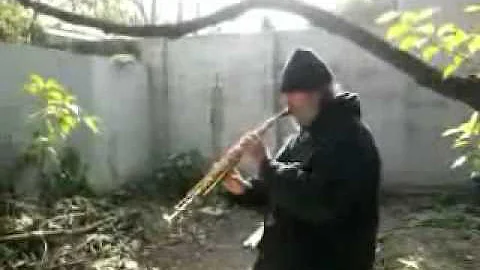 sergio paolucci raga del  mediodia